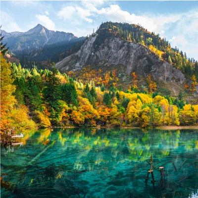 Experience China’s Enchantment – Pandas, Warriors & Beyond